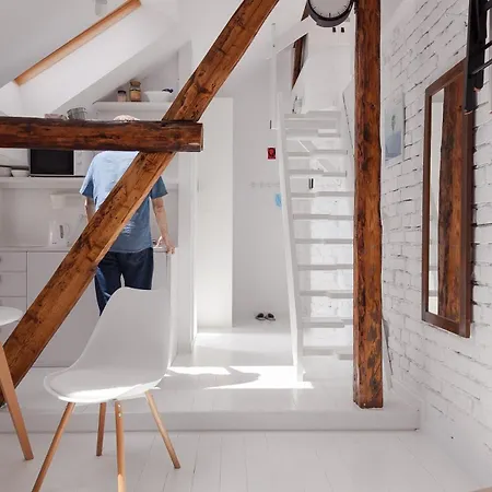 Apartment Charming Attic In The Heart Of The Belgrad